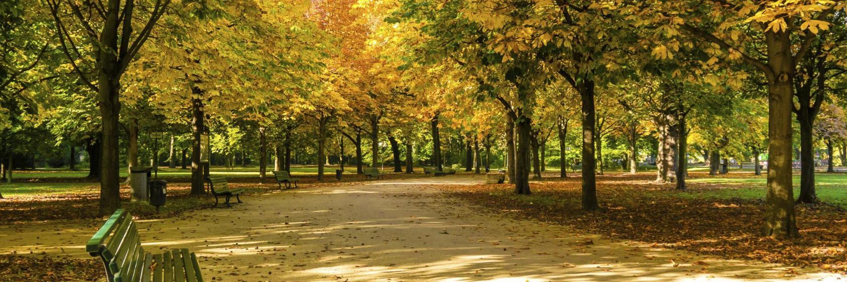 Tiergarten de Berlin